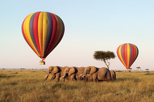 Hot Air Balloon Safaris