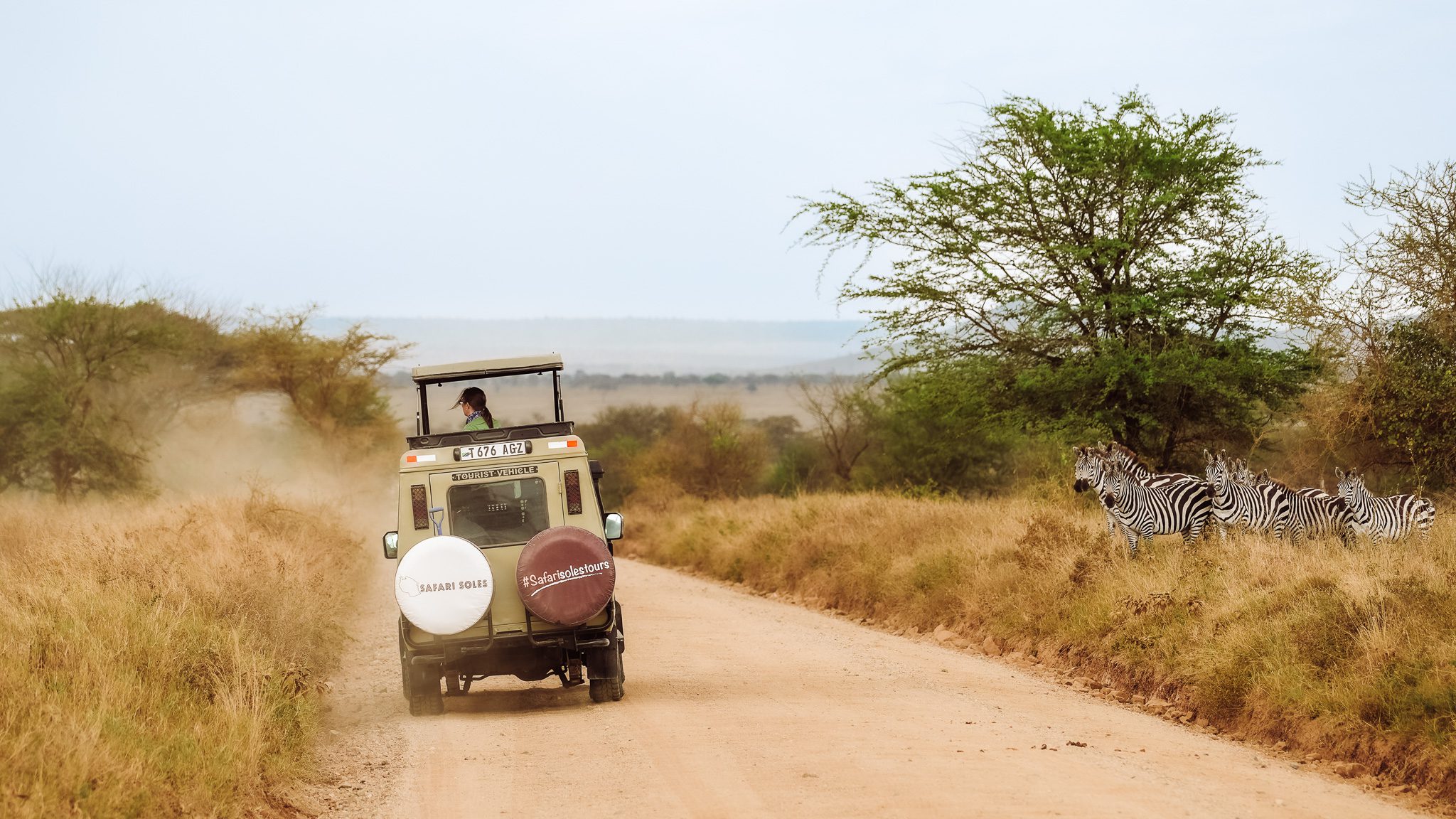 game drives in serengeti with safari soles tours