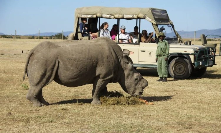 The Ol Pejeta Conservancy