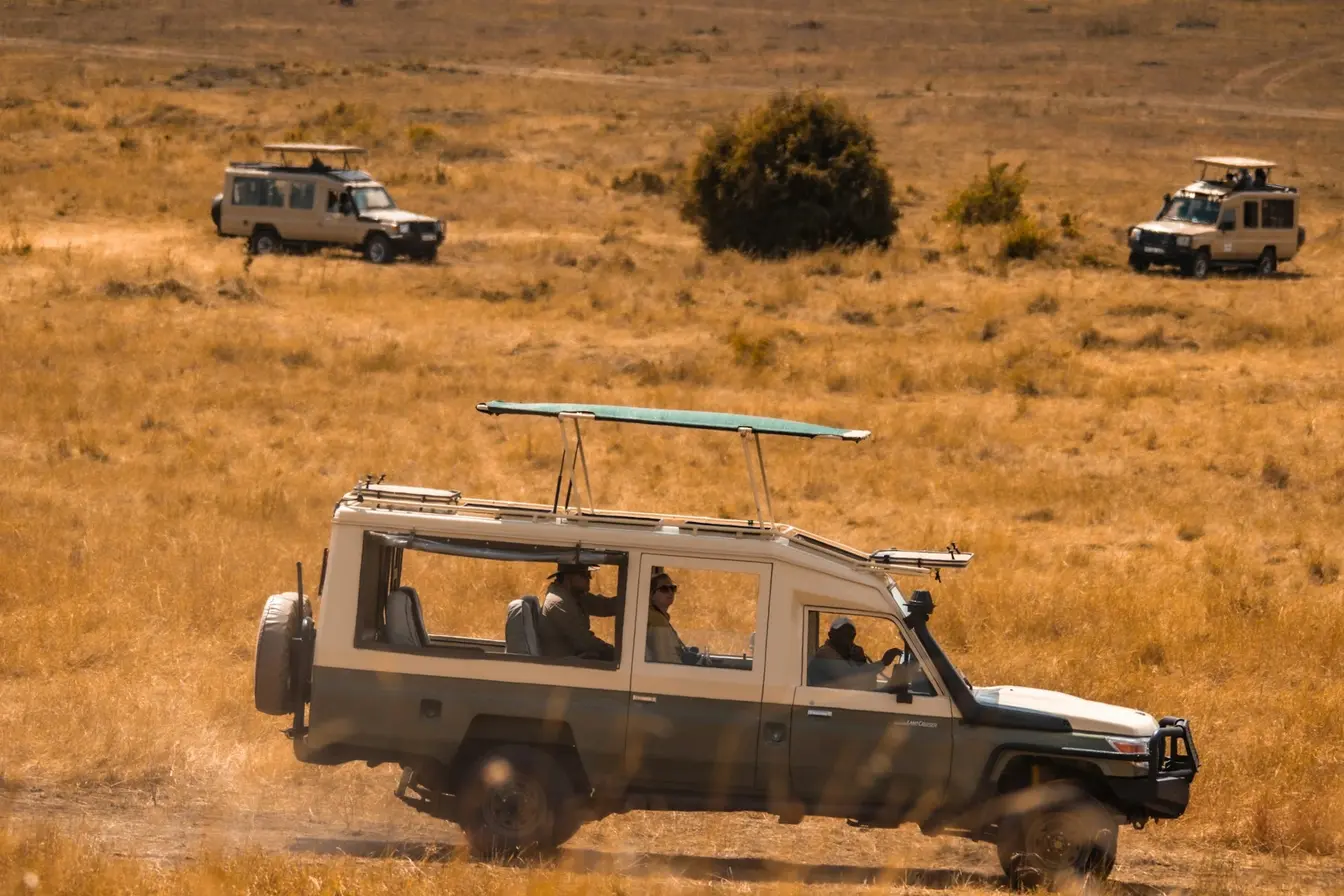 Three safari vehicles on the savanna. Three safari vehicles on the savanna.
