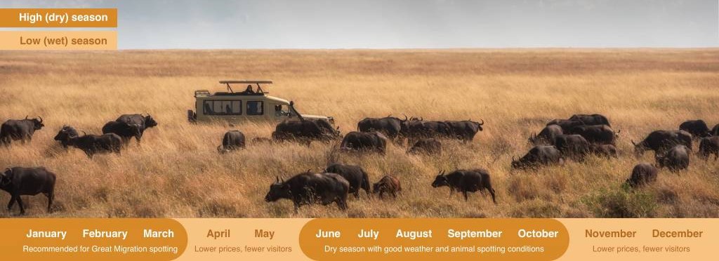 best time to visit serengeti
