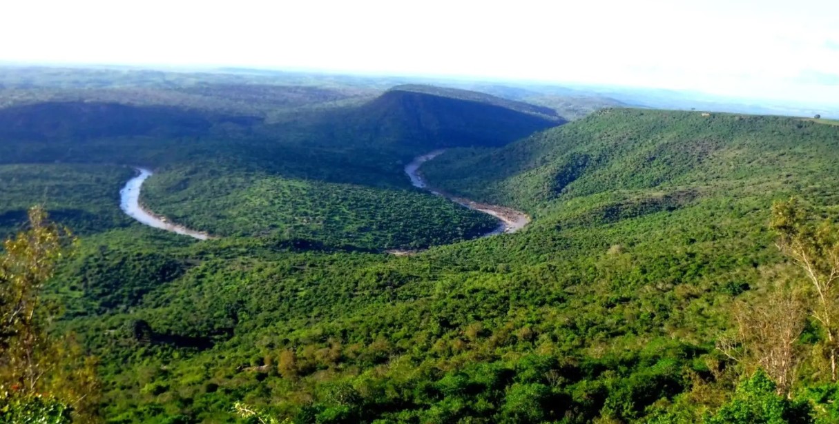 Filming in Shimba Hills National Reserve