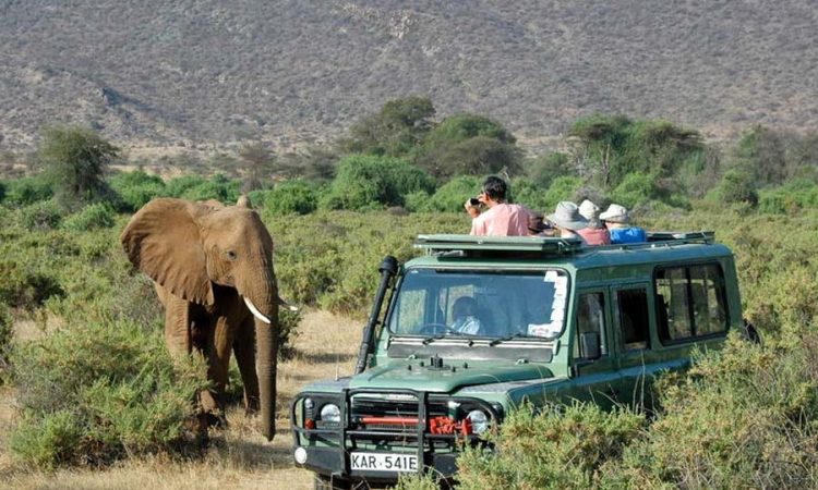 Game Drives in Tsavo National Park 750x450