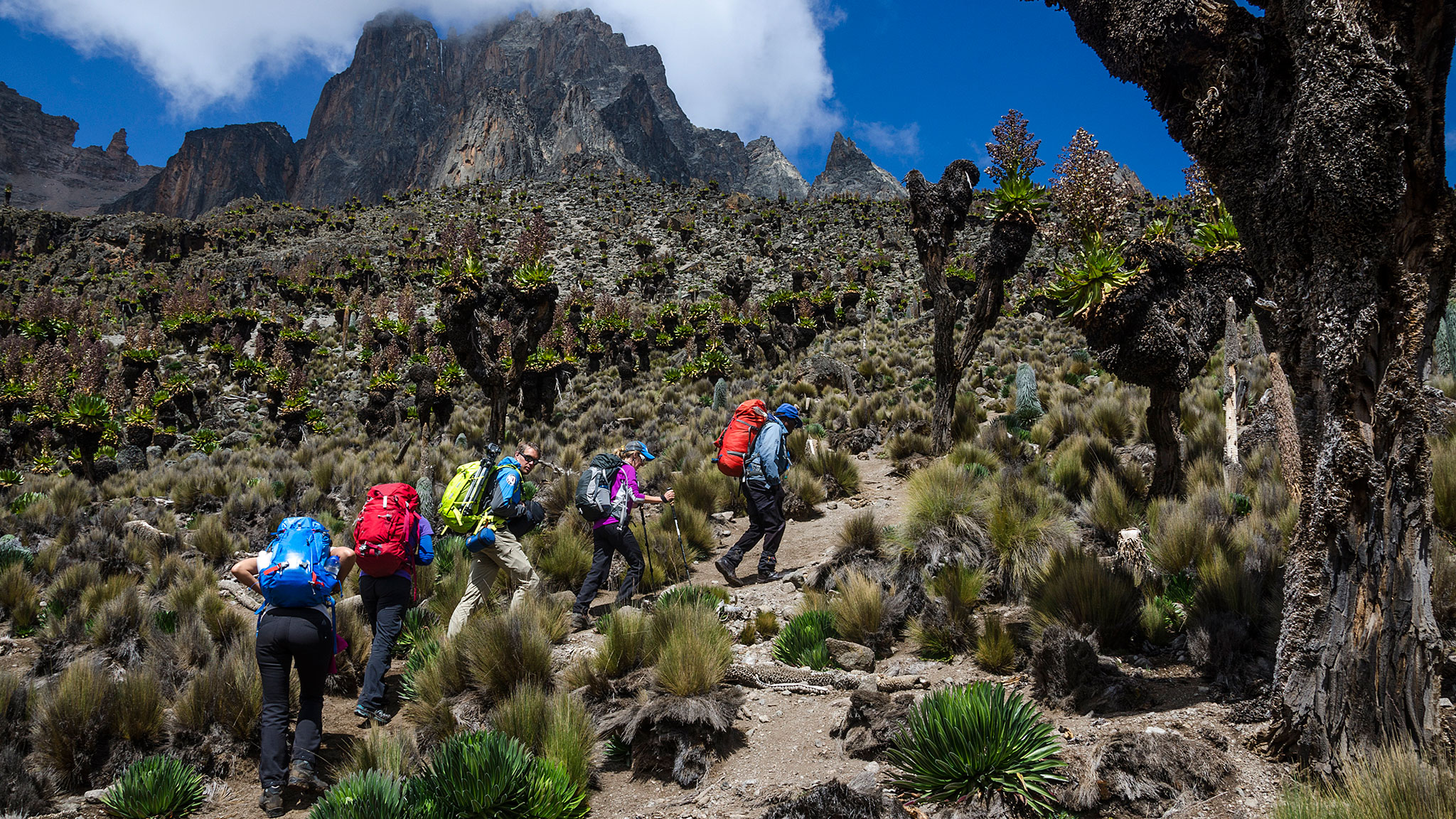 How to Get to Mount Kenya