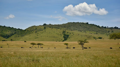 Laikipia Plateau plains