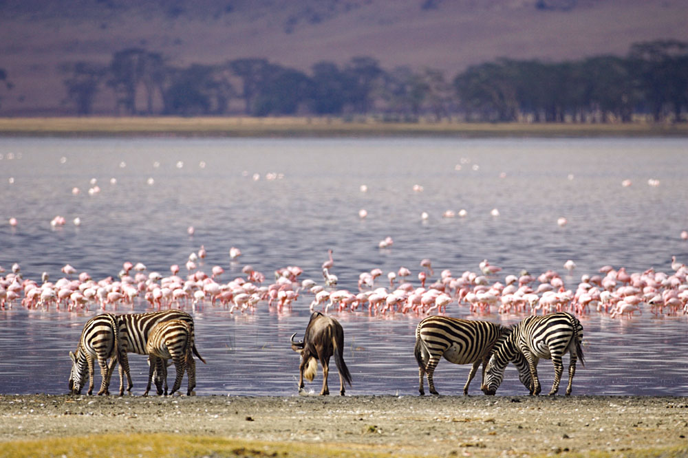 Lake Nakuru National Park