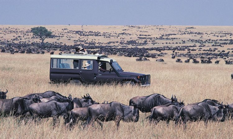 Maasai Mara National Reserve 750x450