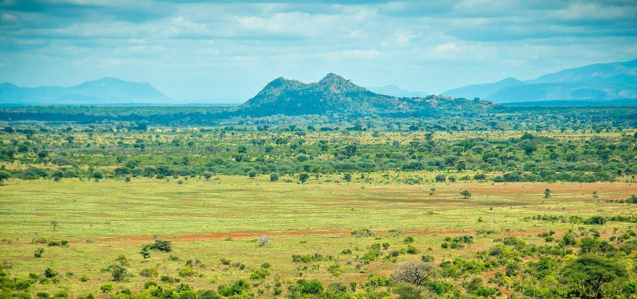 Meru National Park Kenya