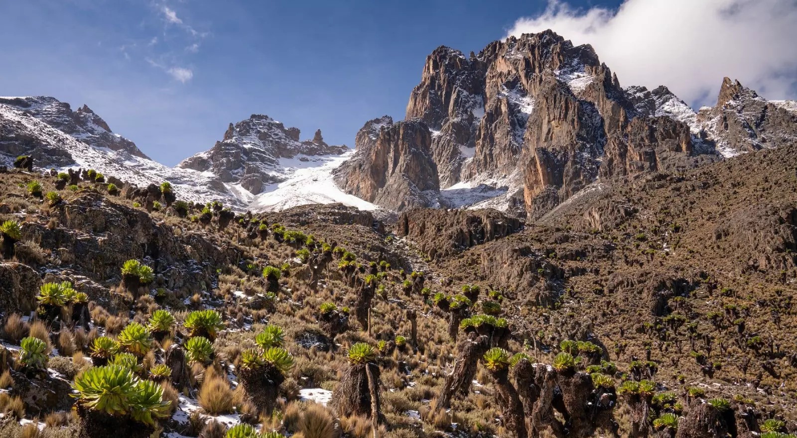 Panorama of Mount Kenya _iStock 1307912622