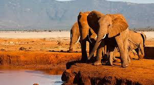 Tsavo National Park west