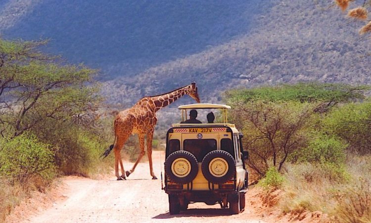 game driver in samburu