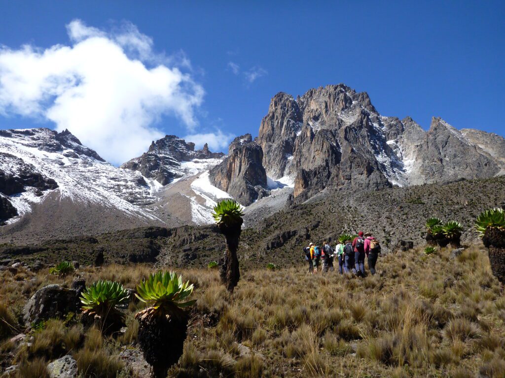 mount kenya guide