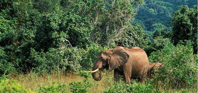 shimba hills national park 1