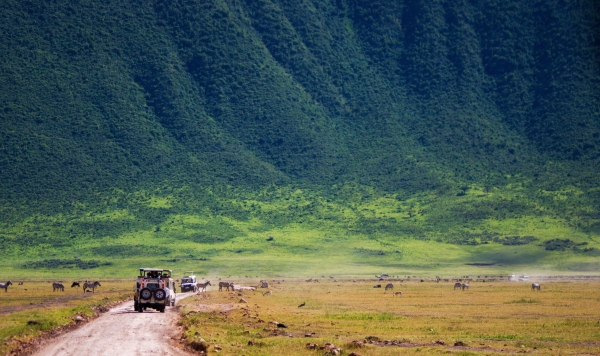 Ngorongoro