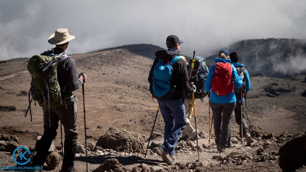 1-Day Hike Mt Kilimanjaro via Marangu Route
