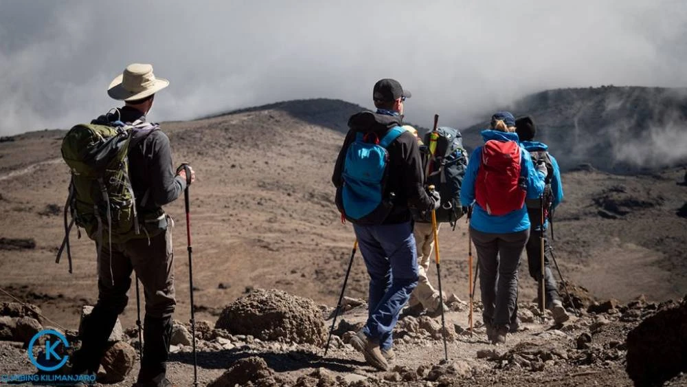1-Day Hike Mt Kilimanjaro via Marangu Route