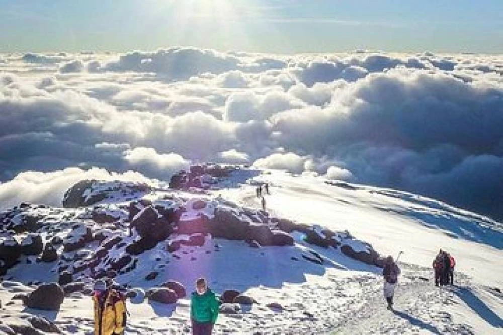 10-Day Kilimanjaro via Northen Circuit Route (360 Hike)