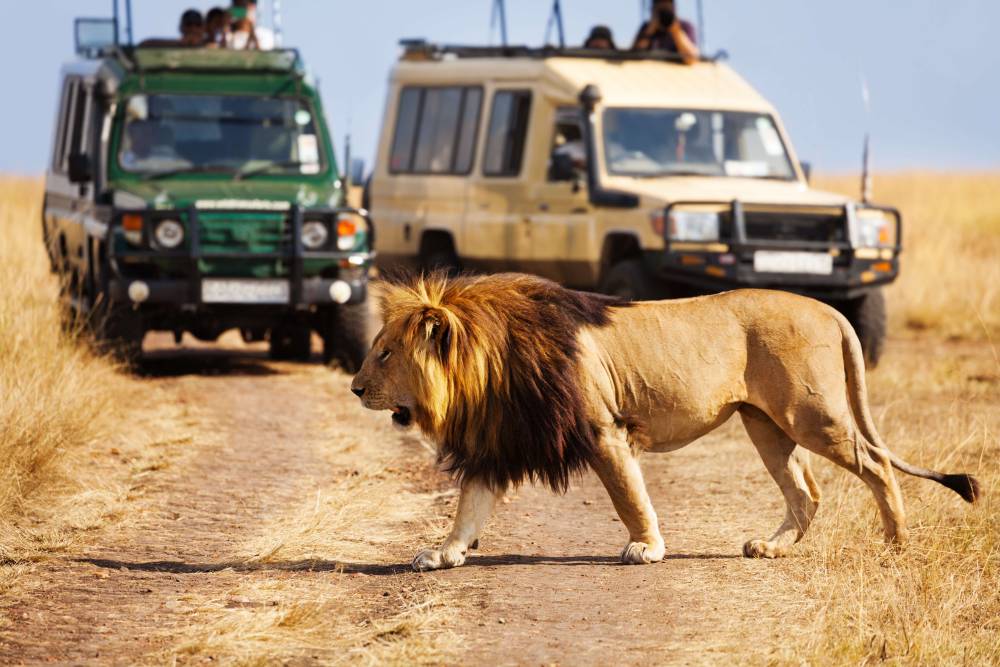 3-Day Private Safari - Serengeti and Ngorongoro Crater