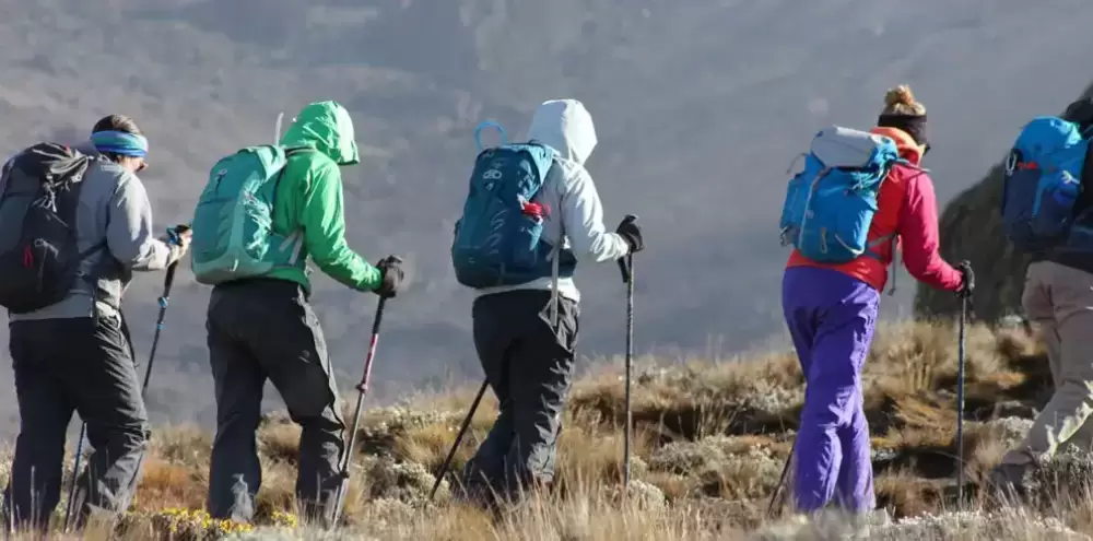 8-Day Kilimanjaro "Whiskey Route" Machame Route