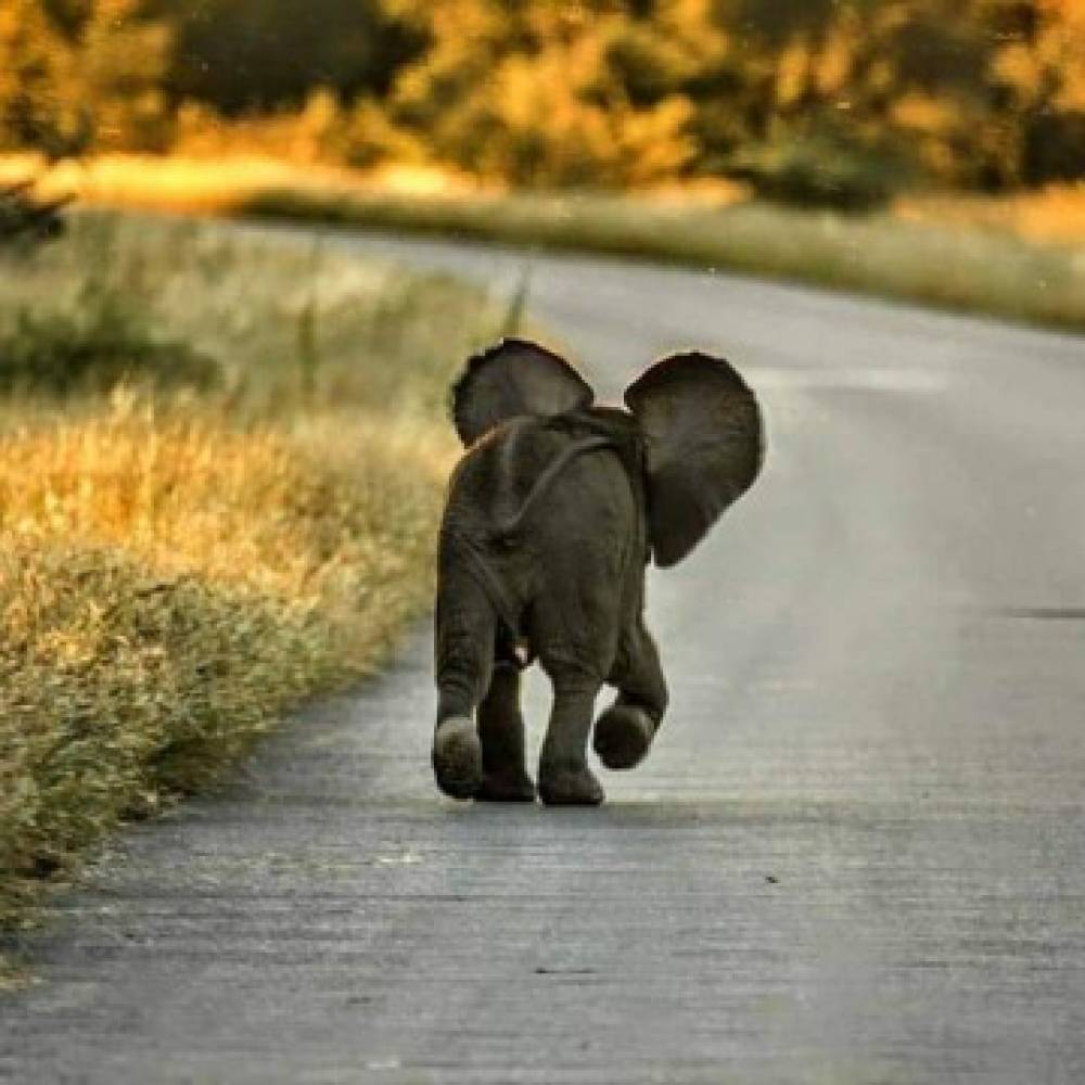 3-Day Mikumi National Park