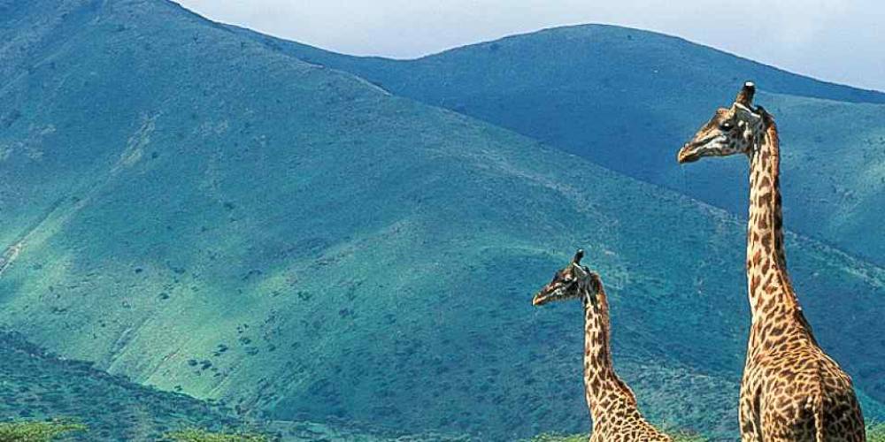 7-Day Multi-Dimensional Mid Range Safari