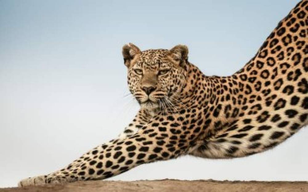 2-Day Safari Tarangire & Ngorongoro