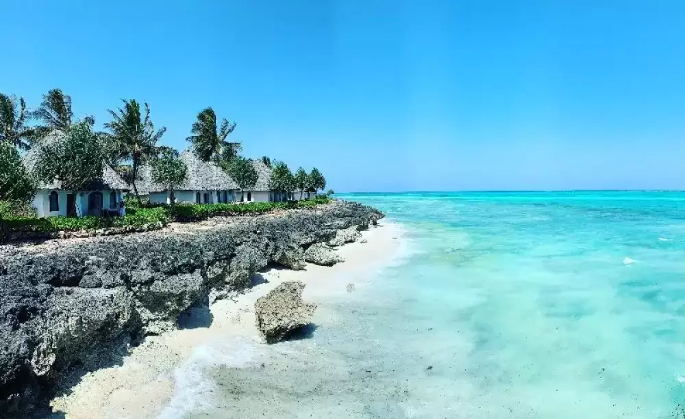 Kizmkazi Dolphin Tour Zanzibar