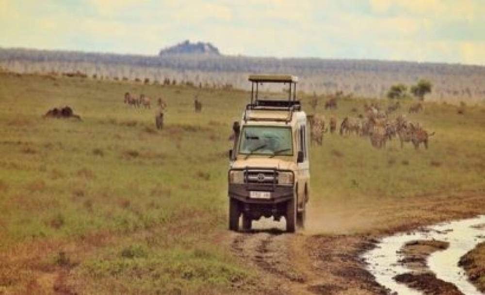 1-Day Trip to Ngorongoro Crater