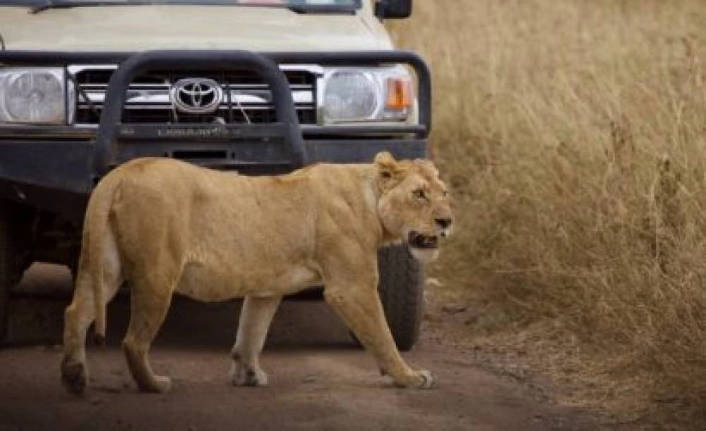3-Day 2 Nights Ruaha from Dar Es Salaam