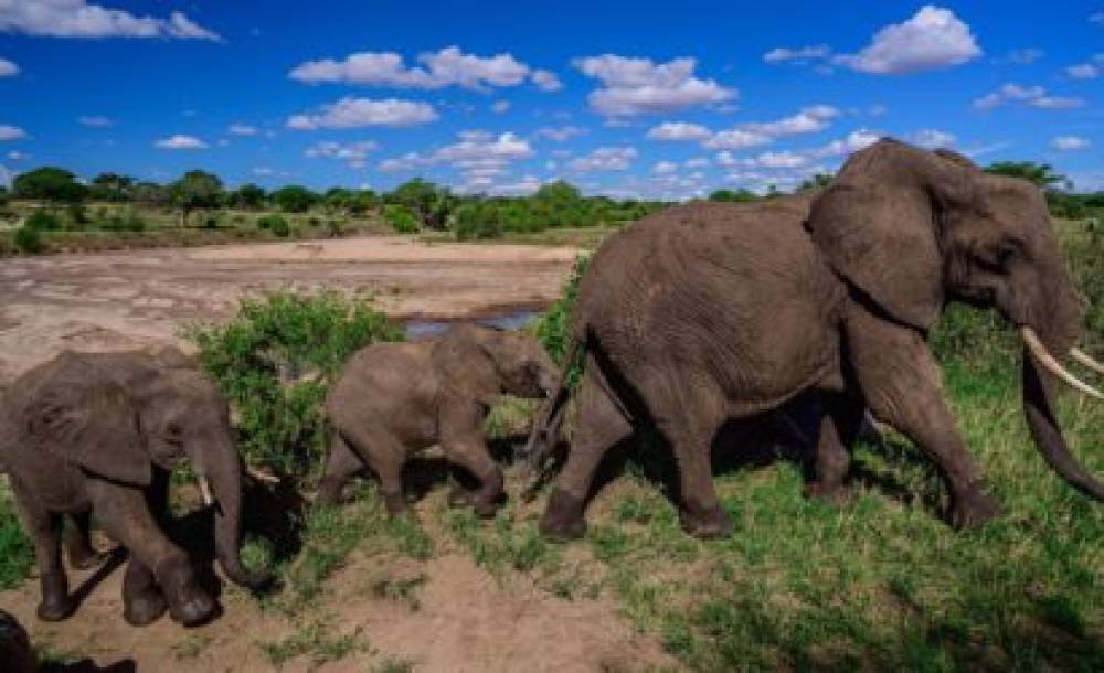 6-Day Tanzania Jeep Safari (Midrange)