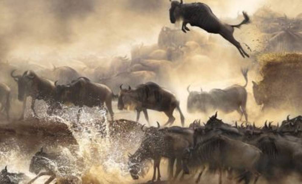 z1uCCaO8p2oLd7vv07cF