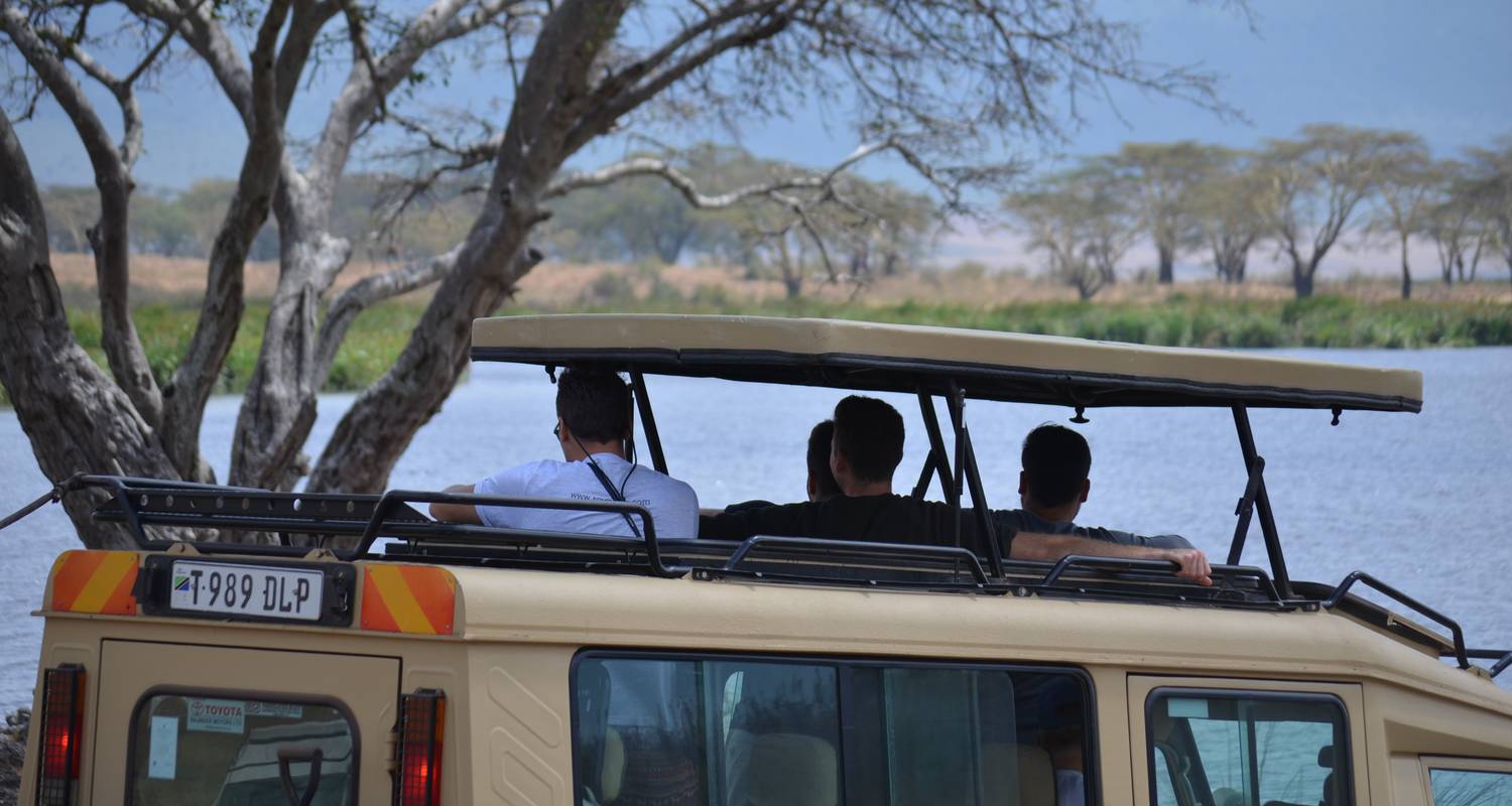 Several people looking through a safari vehicles pop-up roof. Several people looking through a safari vehicles pop-up roof.