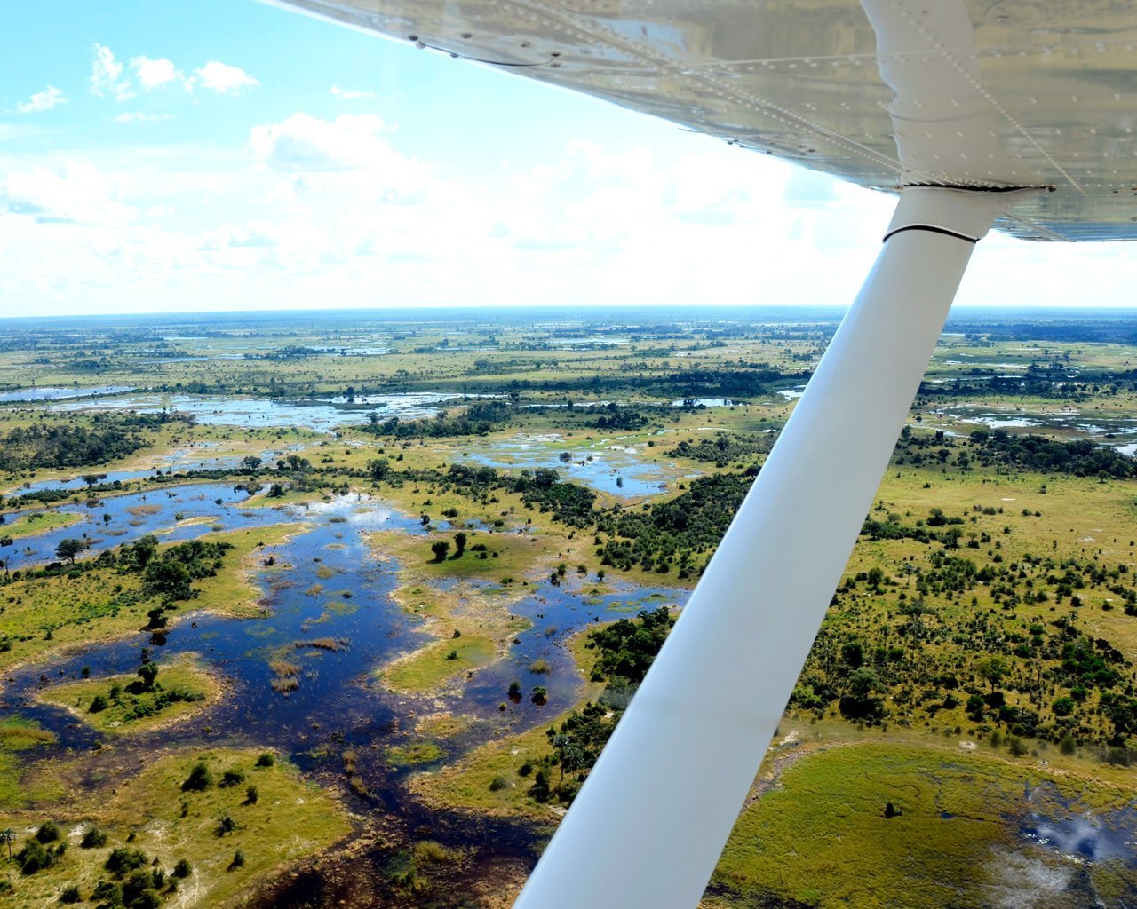 Fly-in safari