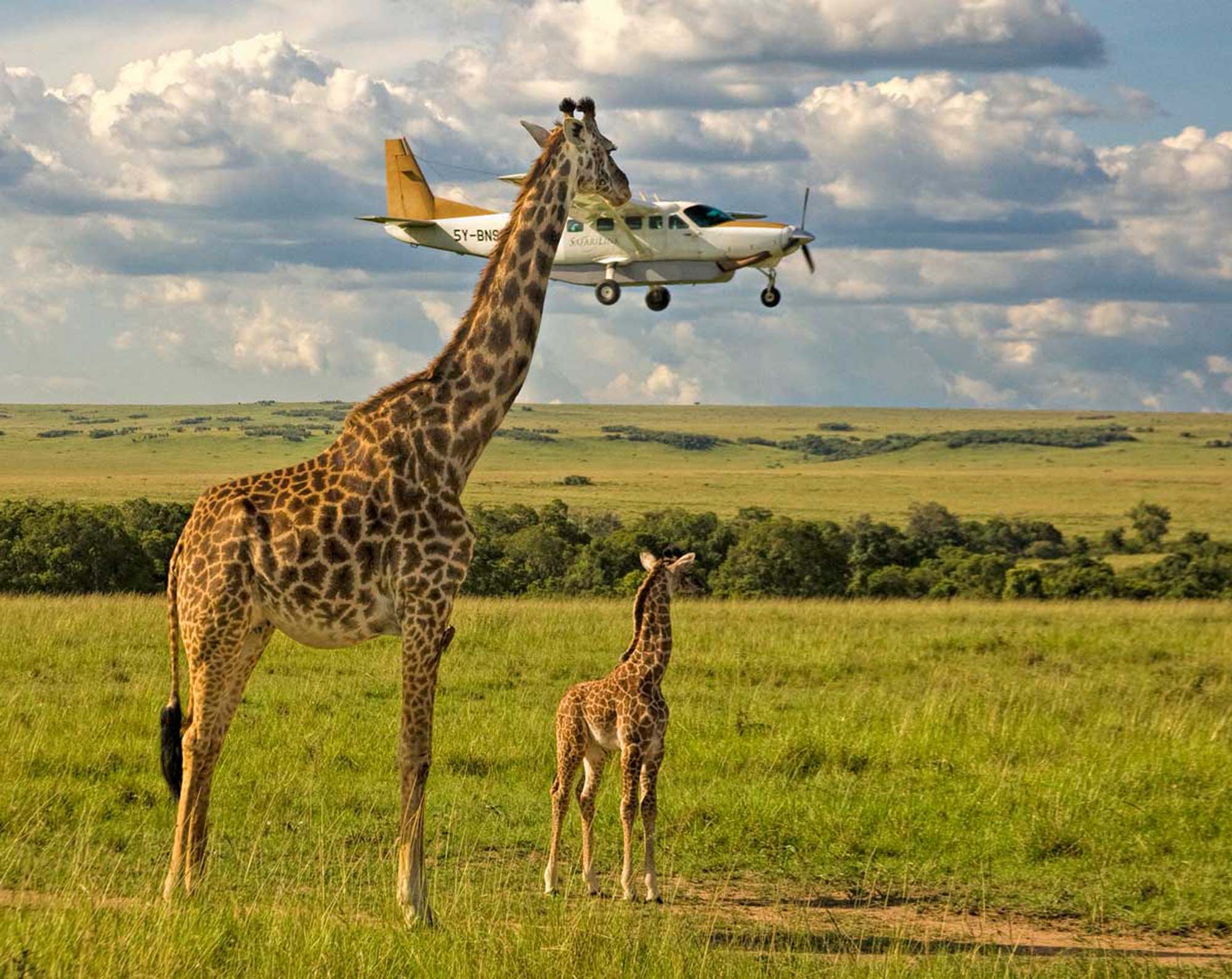 Fly-in Safari