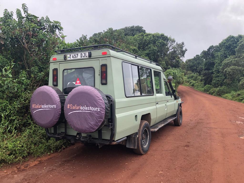Best Time to Visit Mkomazi National park