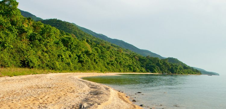 Best Time to Visit Mahale Mountains Best Time to Visit Mahale Mountains