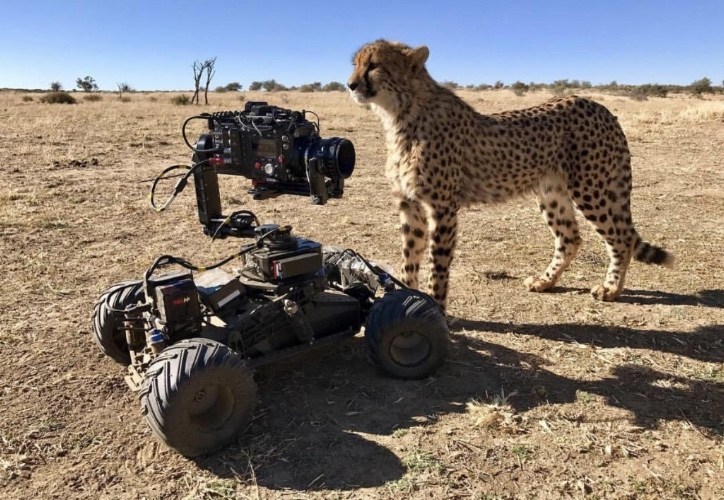 What it costs to fly drones in Tanzania’s national park.