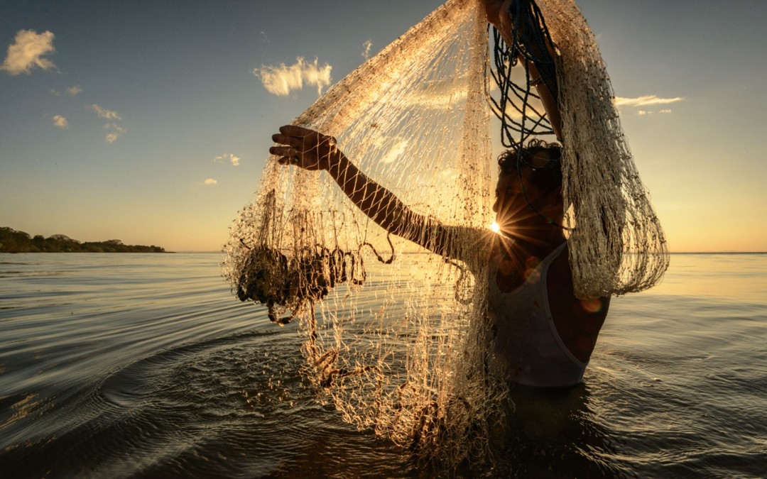 Fishing safaris at Lake Victoria.