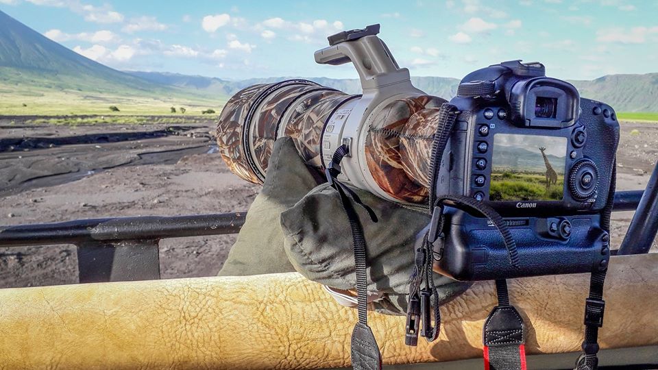 The Great wildebeest migration