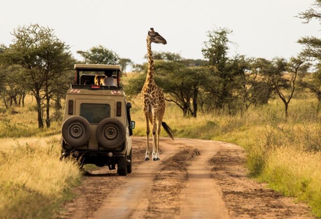 Best Time To Visit Tarangire National Park