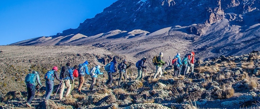 Cost of climbing Kilimanjaro