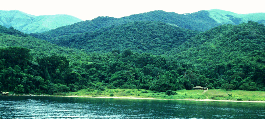 Getting To Gombe Stream National Park