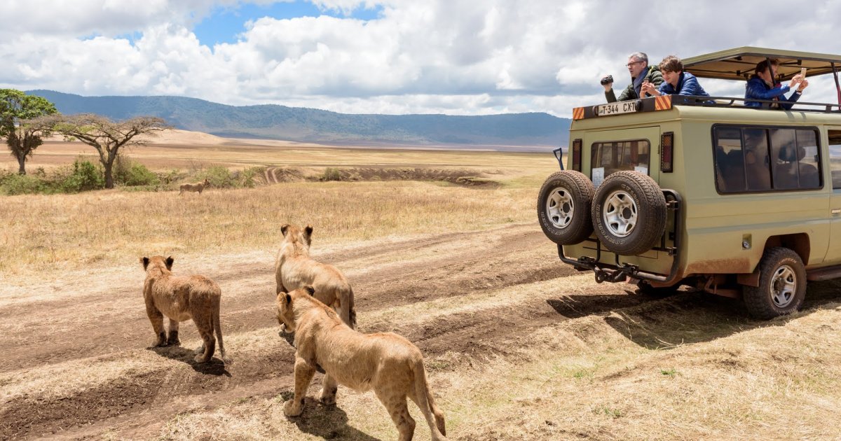 Getting to Ngorongoro 