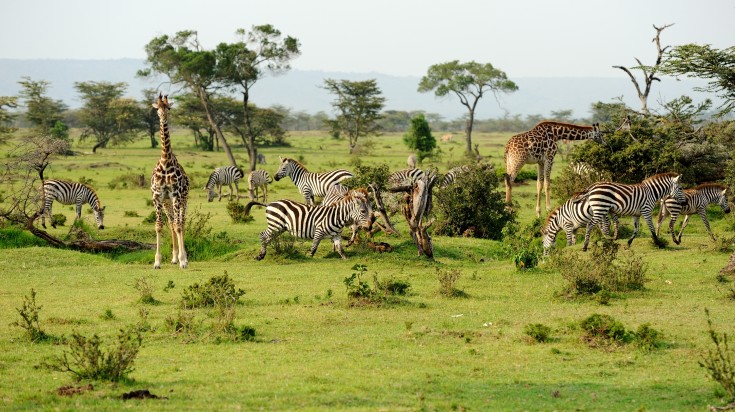 Arusha National Park