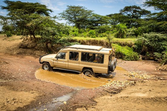 Game drive Game drive