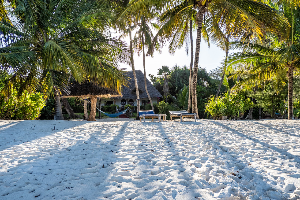 A white sand beach with palm trees which is typical of Pemba and Mafia Islands.