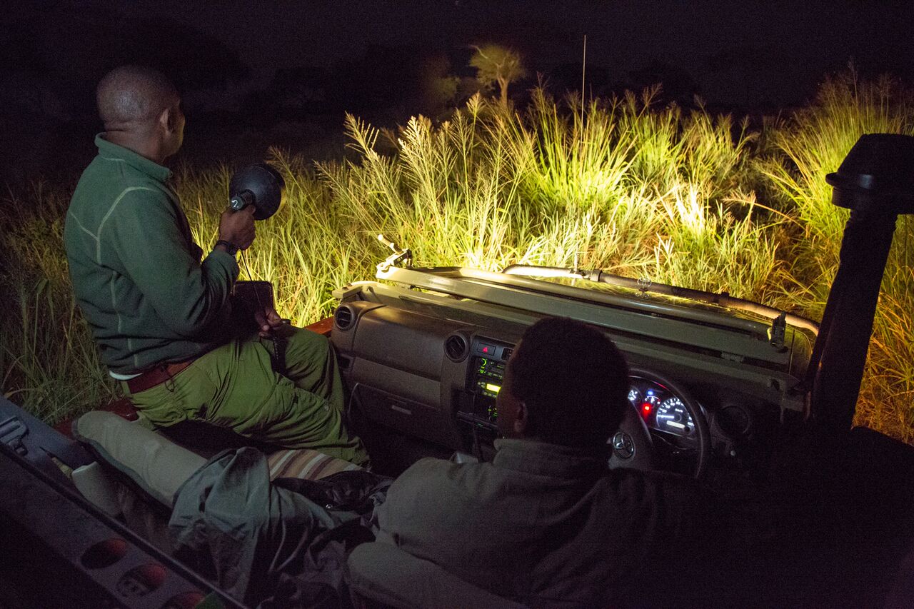 night game drives in Tanzania