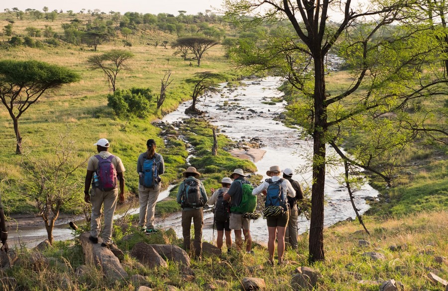 Walking Safari Serengeti national park