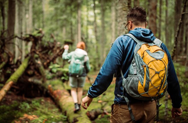 Travel backpack