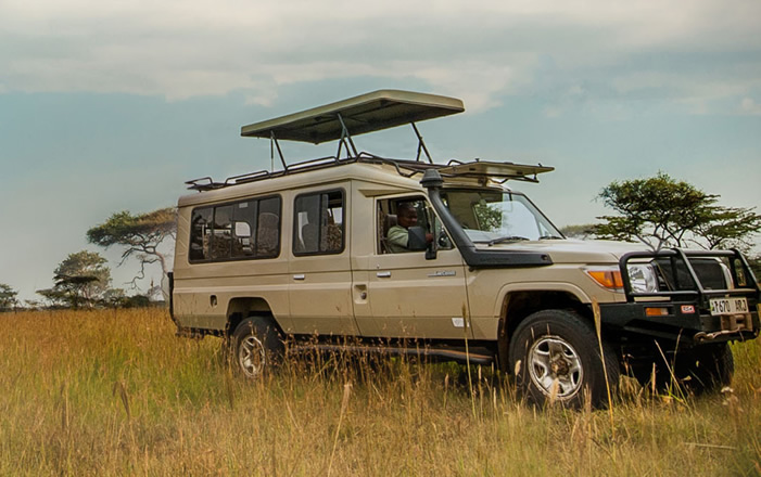 Safari Souls Vehicle